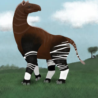 Paraceratherium